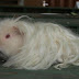 DSCF4951.JPG