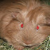 DSCF4952.JPG