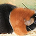 DSCF4963.JPG