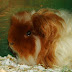 DSCF4976.JPG