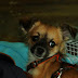 DSCF5042.JPG