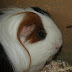 DSCF5074.JPG