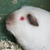 DSCF5105.JPG