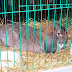 100_8931.JPG