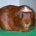 100_8980.JPG