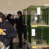 DSC04013.JPG
