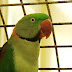 DSCF0370.JPG