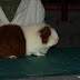 PB265879.JPG