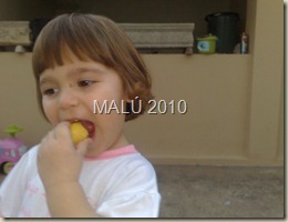 14042010425 14042010425