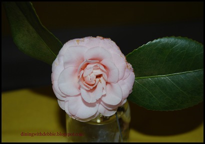 DSC_0148 DSC_0148