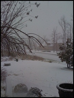 snow in march