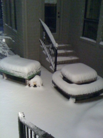 [snow in march 3[5].jpg]