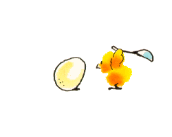 [chicken-egg[3].gif]