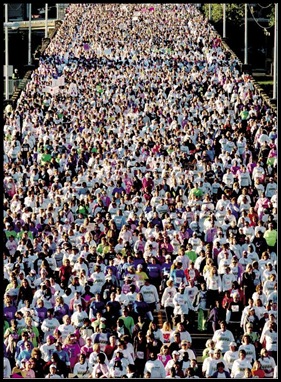 komen race