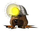 [324623265.gif]