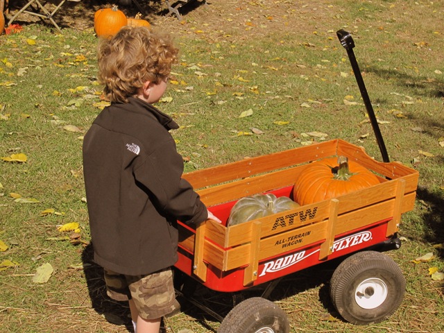 [pumpkinpatch105.jpg]