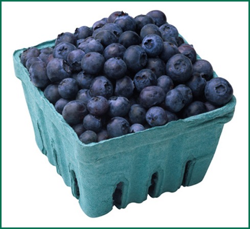 [blueberries[3].jpg]