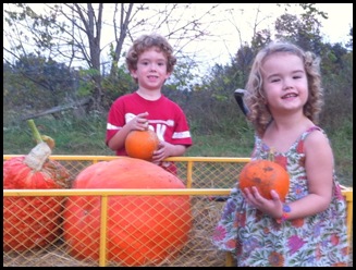 pumpkin patch 2