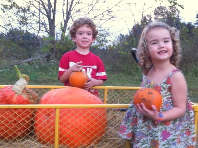 [pumpkin patch[4].jpg]
