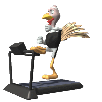 fit_turkey_treadmill_sprint_hg_clr