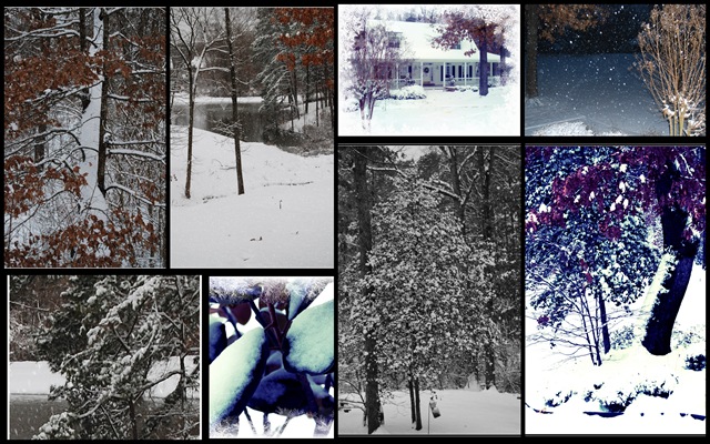 [winter2011[5].jpg]