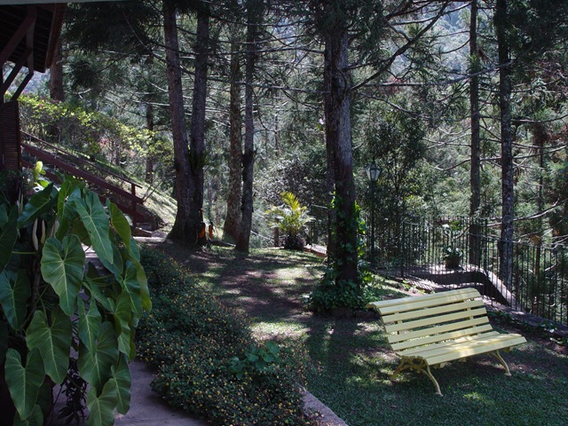 [DSC00884[4].jpg]