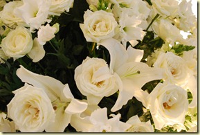 DSC_4678 DSC_4678