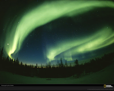 click to download free best desktop wallpaper - aurorae nicklen 1600x1200px
