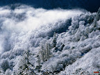 Click to view Winter + Beautiful + Nature Wallpaper [winter 23 1600x1200px.jpg] in bigger size