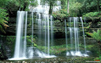 Click to view NATURE + NATURAL + 1680x1050 Wallpaper [Russell Falls Mount Field National Park Tasmania.jpg] in bigger size