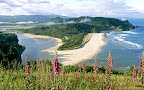 Click to view NATURE + NATURAL + 1680x1050 Wallpaper [Cascade Head Oregon.jpg] in bigger size