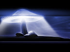 Click to view WEIRD + 1600x1200 Wallpaper [Weird Neon mushroom.jpg] in bigger size