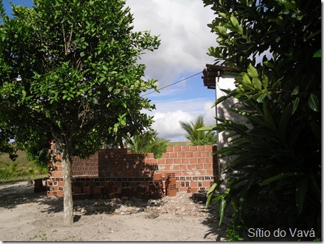 parte de trás da casa parte de trás da casa