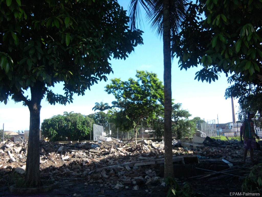 [Vista-lateral-com-o-Pau-Brasil6.jpg]