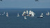 DSC02128.JPG