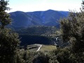 Puerto Pitillos y el Quejigo centenario del Amo, o del Carbón
