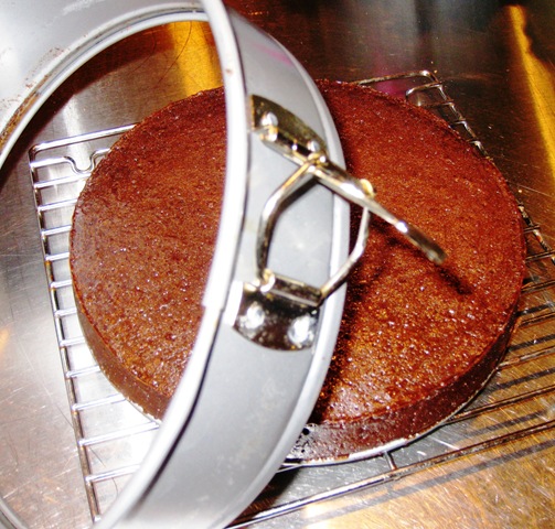 [removespringformpanfromcooledtorte.jpg]