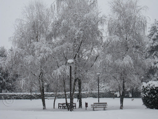 Parco della Resistenza - Cuneo