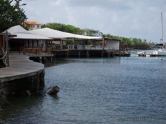 grenada_true_blue4