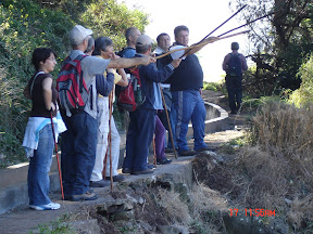 Roteiro Machico