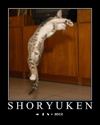Cat Jump