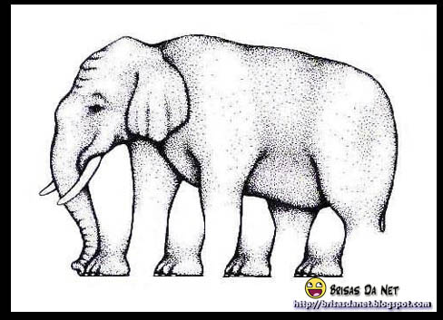 optica de elefante