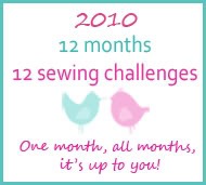 [12monthsewingchallenge[2].jpg]