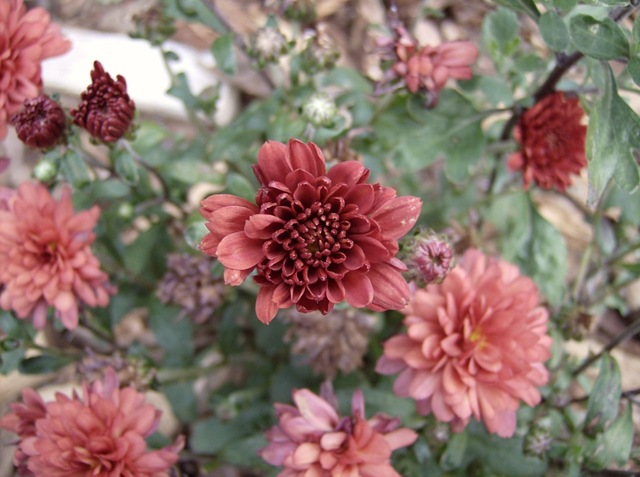 [September2010 173[10].jpg]
