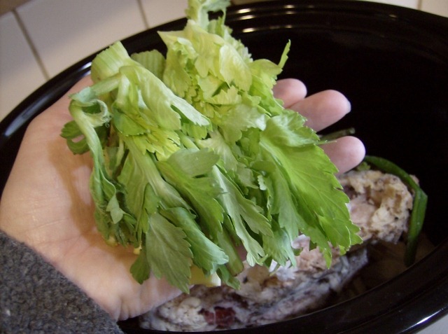 [celery tops (640x477)[4].jpg]