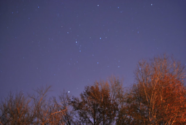 DSC_0065.JPG