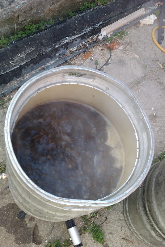 The boil