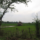 Ranganathittu
