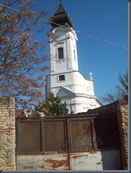 101_7767 101_7767