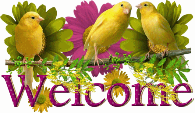 [Welcome[3].gif]